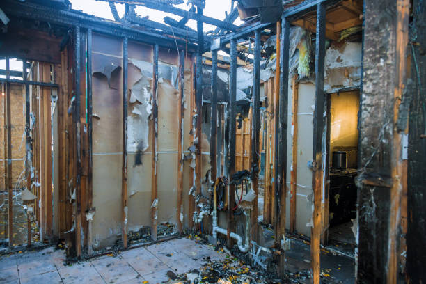 Professional Odor Removal technician working in Manchester, MO
